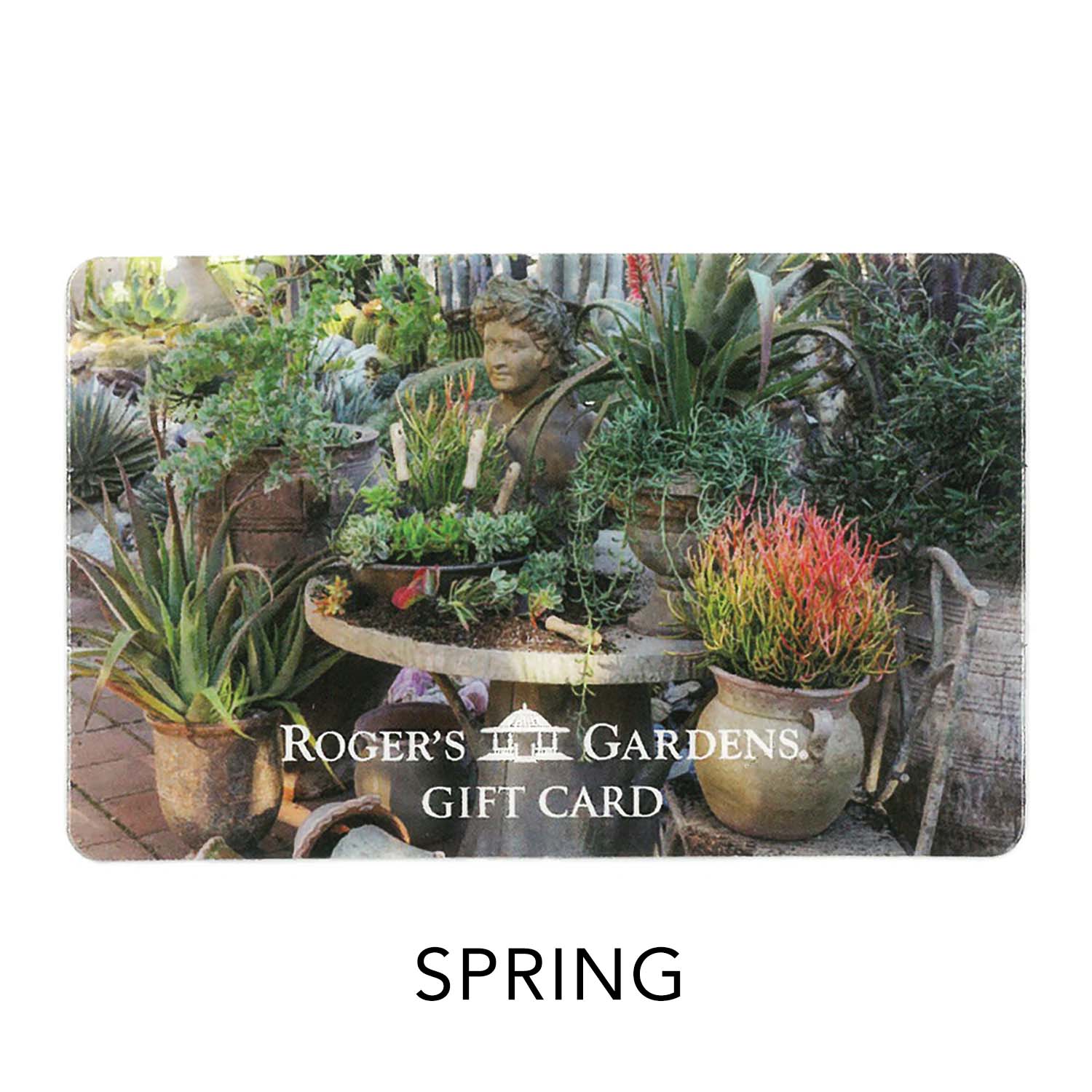 1000 Dollar Gift Card - Image 3