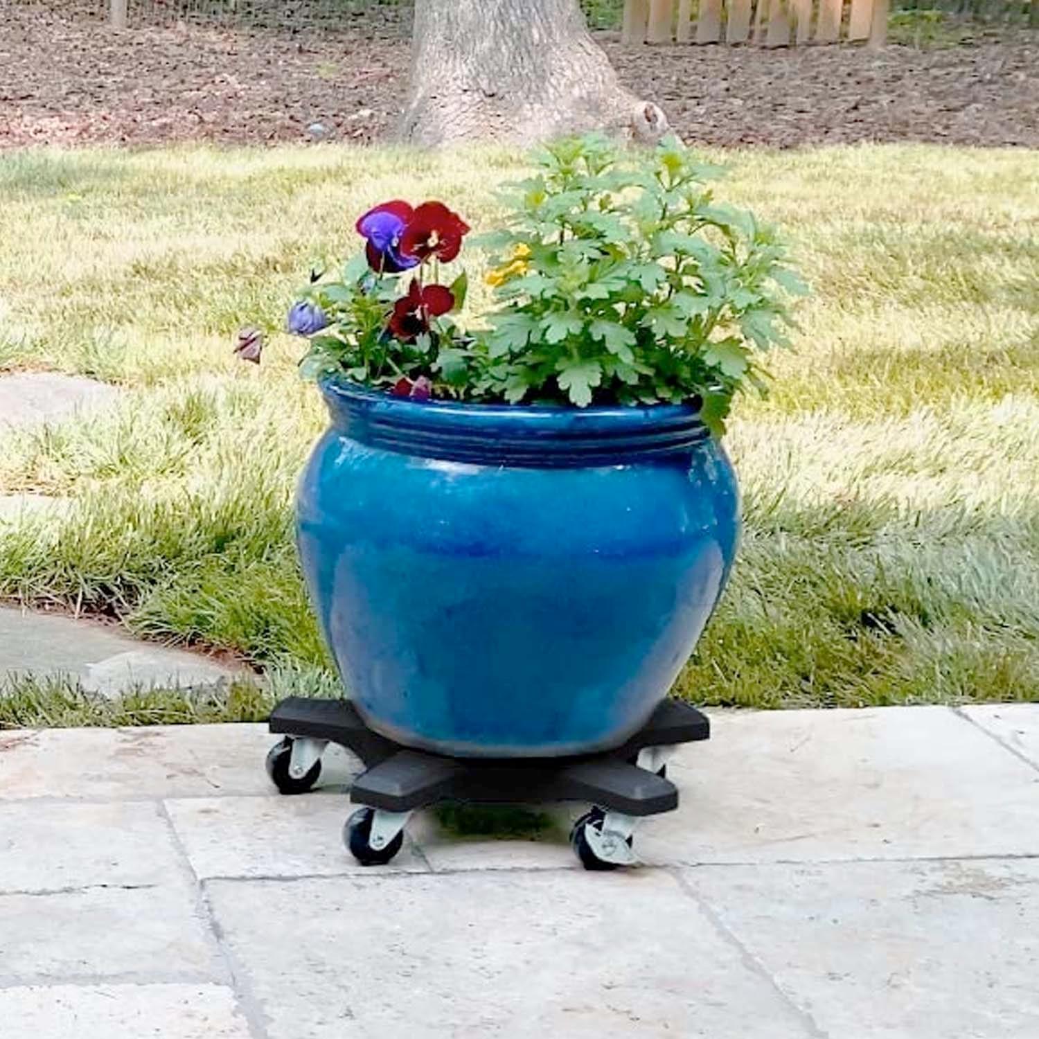 Black Plant Caddie - 20" - Image 4