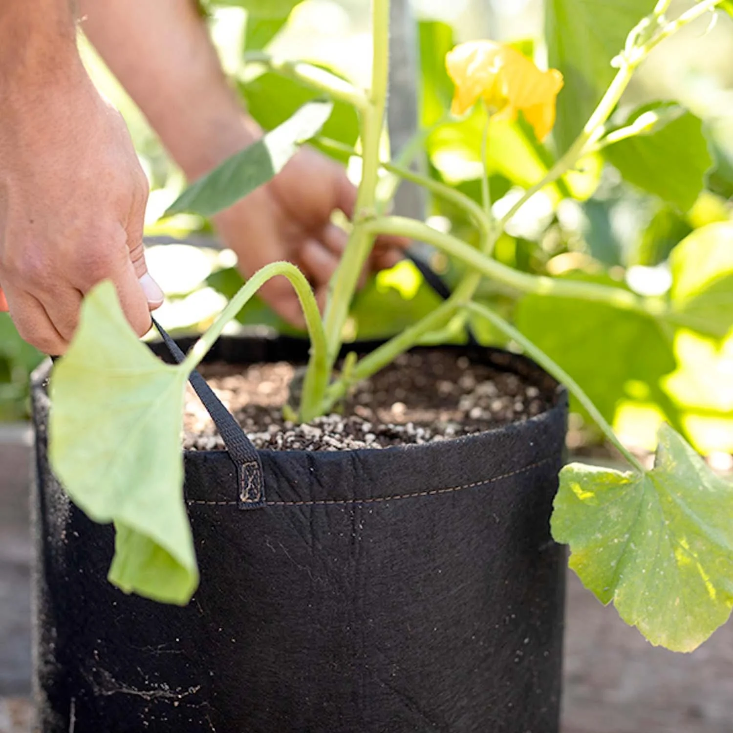 Black GeoPot Fabric Bag - 15 Gallon - Image 3