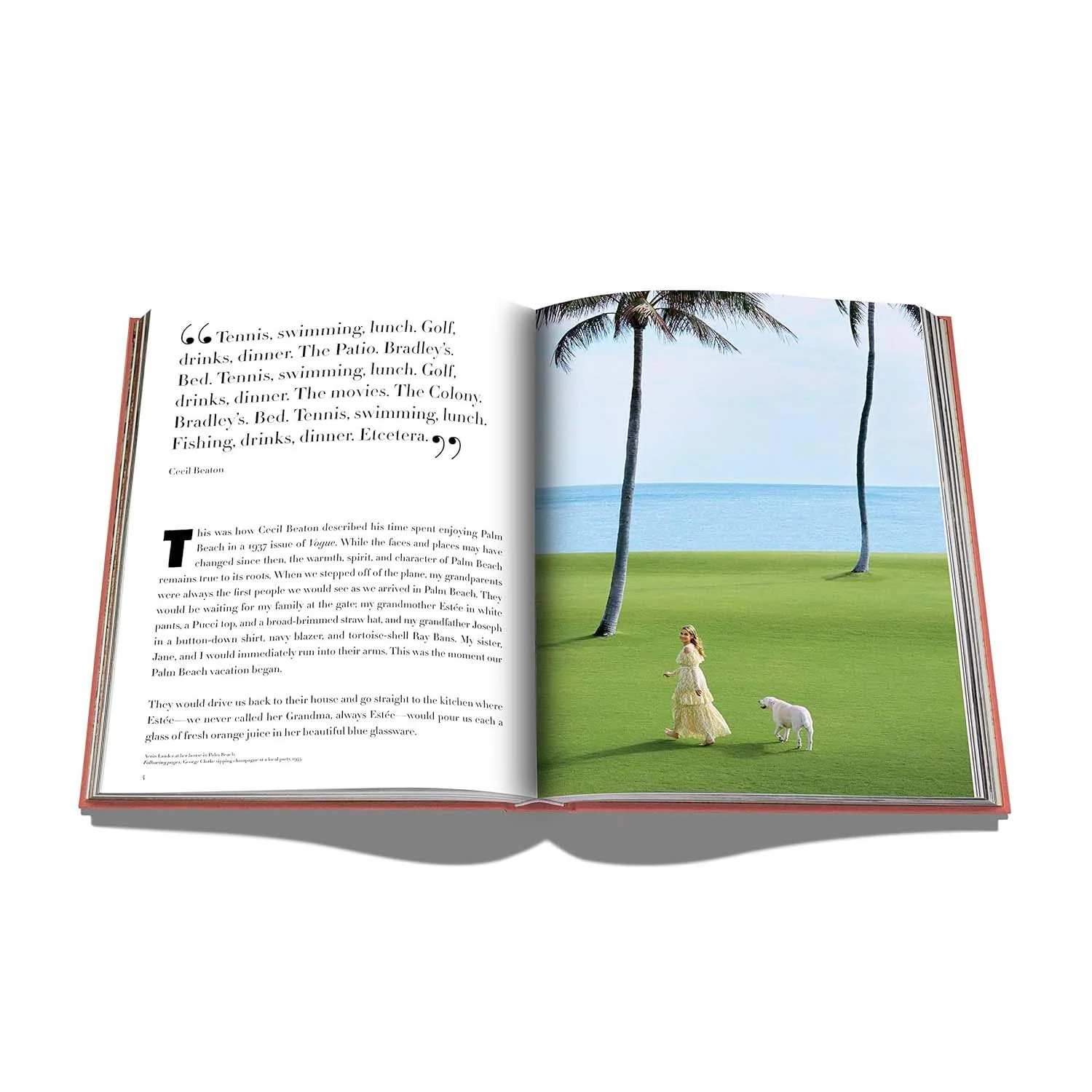 Palm Beach Book - Image 4