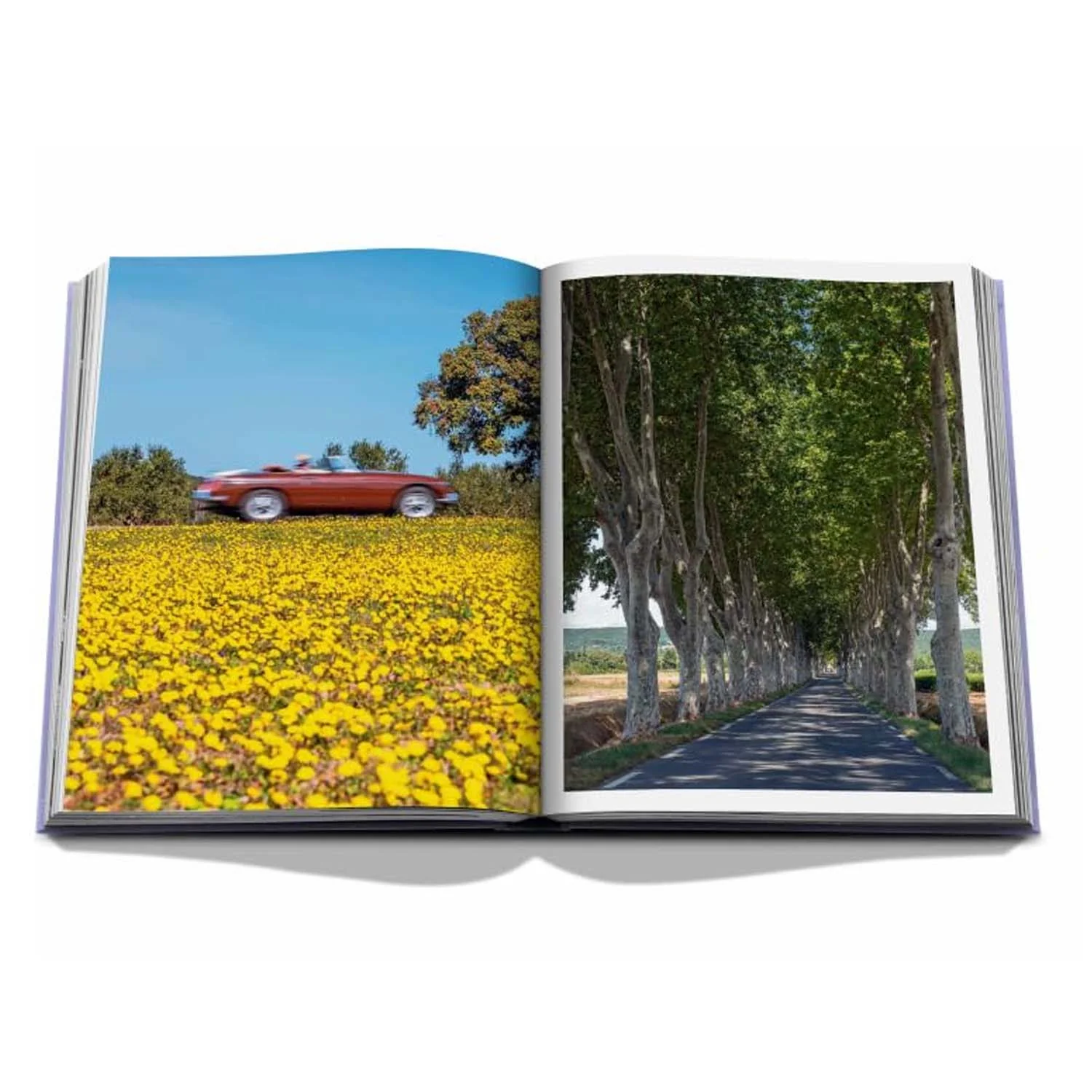 Provence Glory Book - Image 4