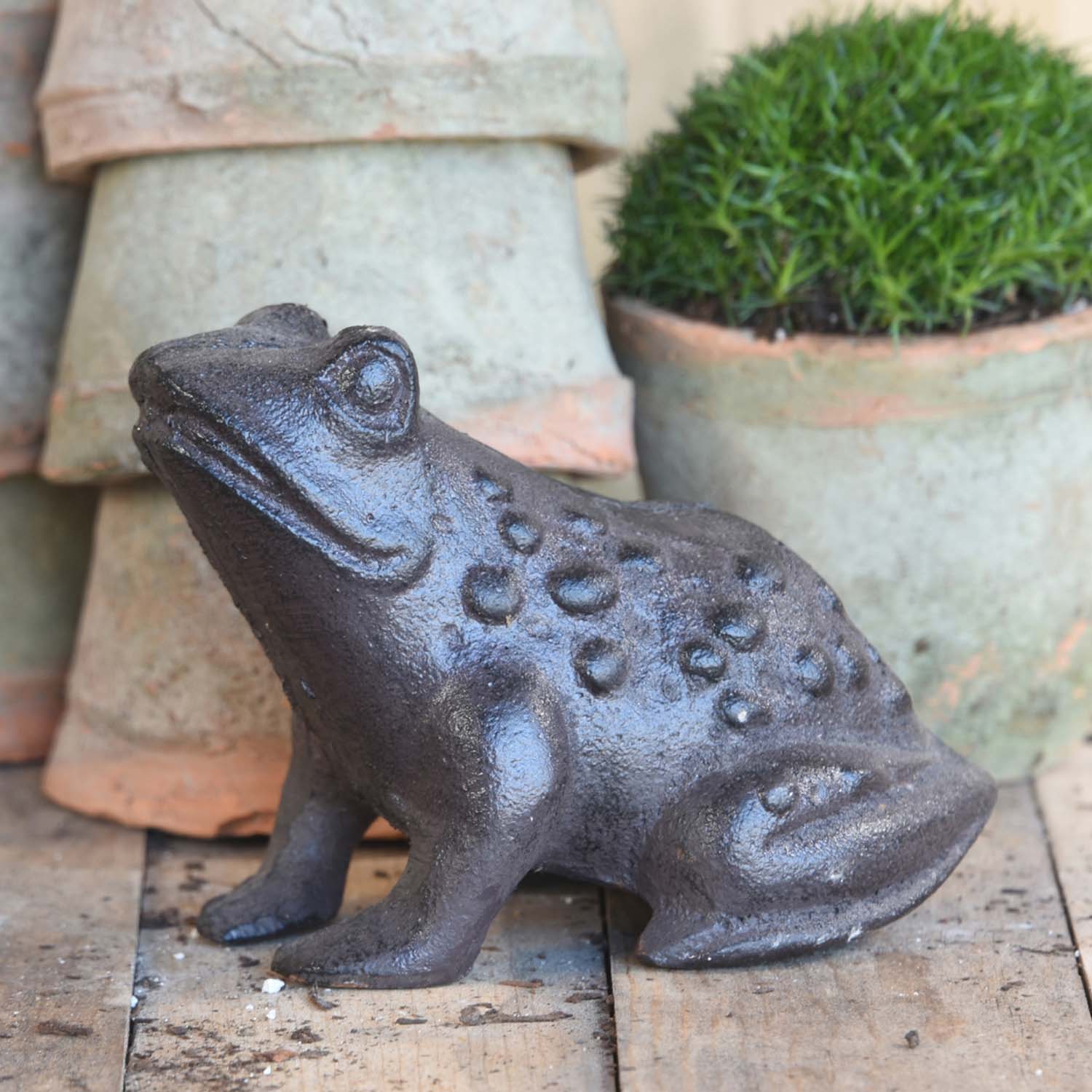 Cast Iron Frog - Image 2