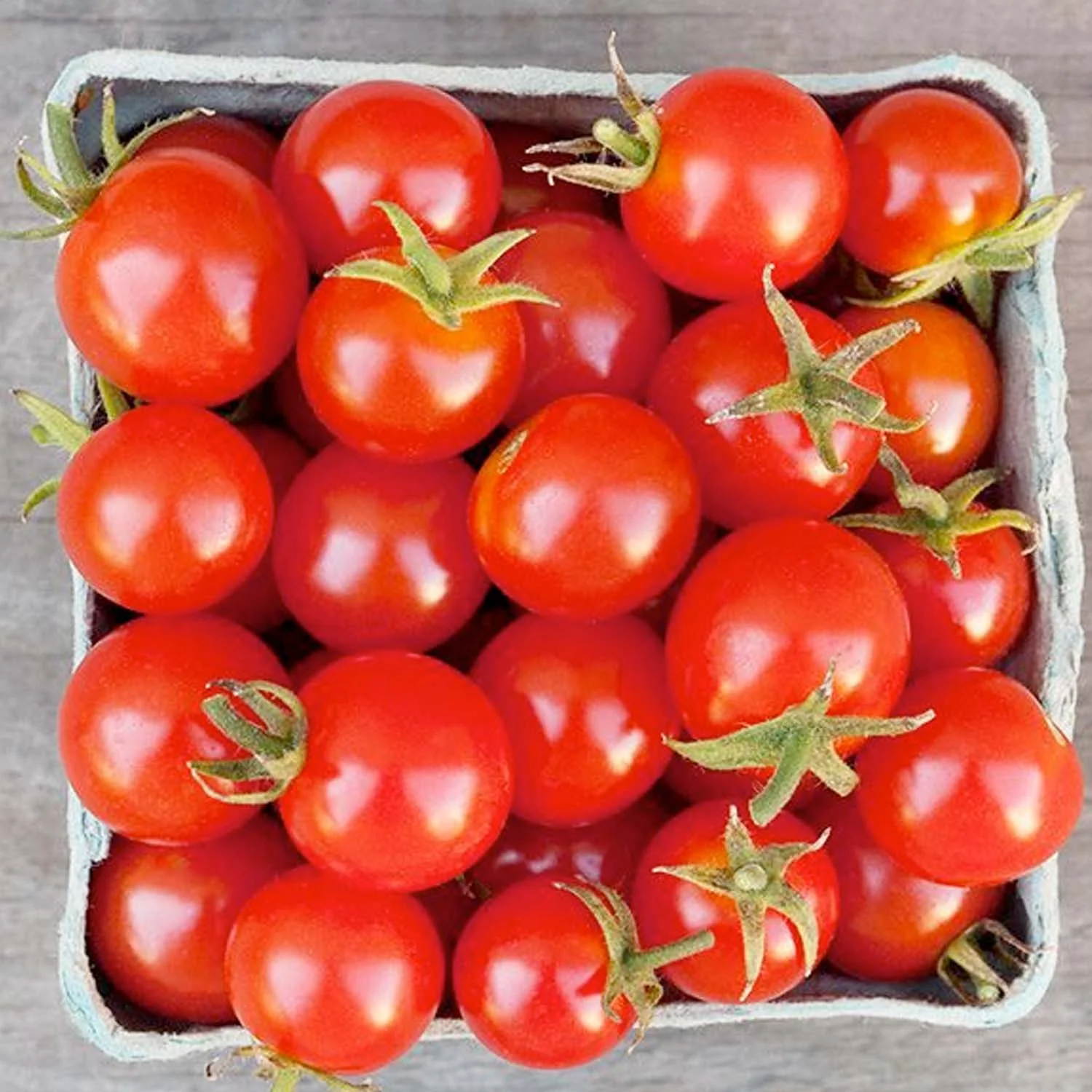Large Red Cherry - 1 Gallon
