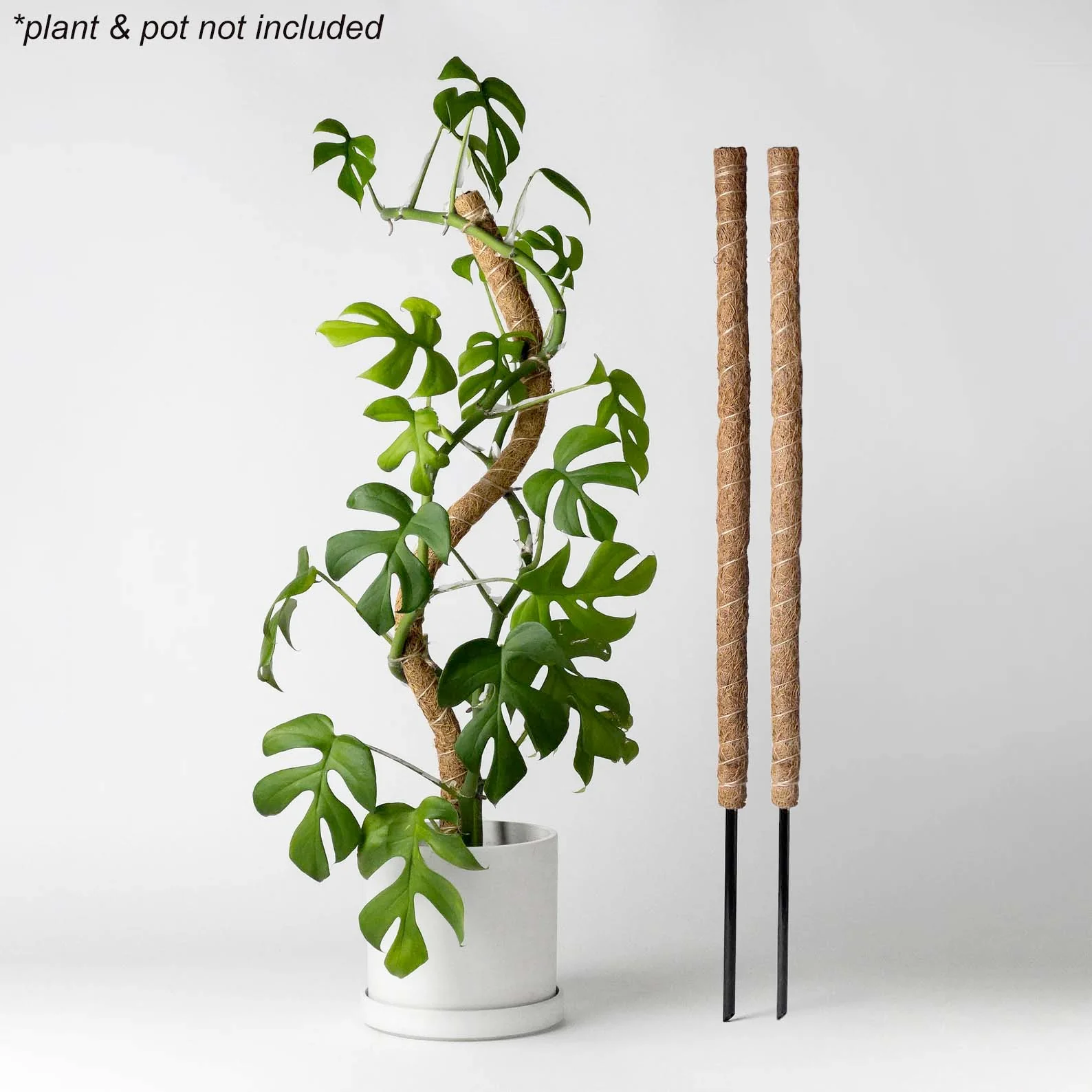 Bendable CoCo Fiber Plant Superpoles - Set of 2 - Image 2