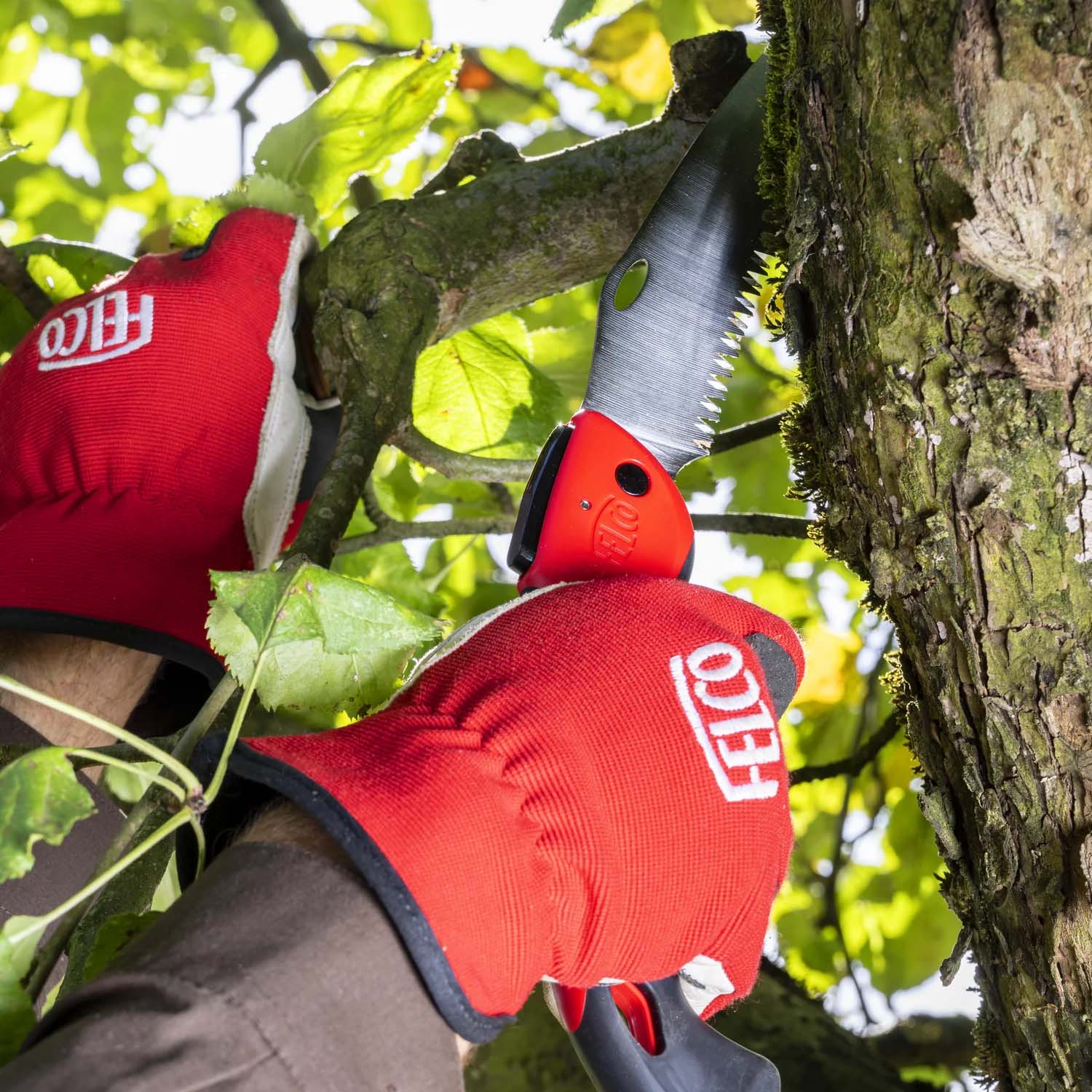 Swiss Made Felco 603 Folding Saw - Image 2