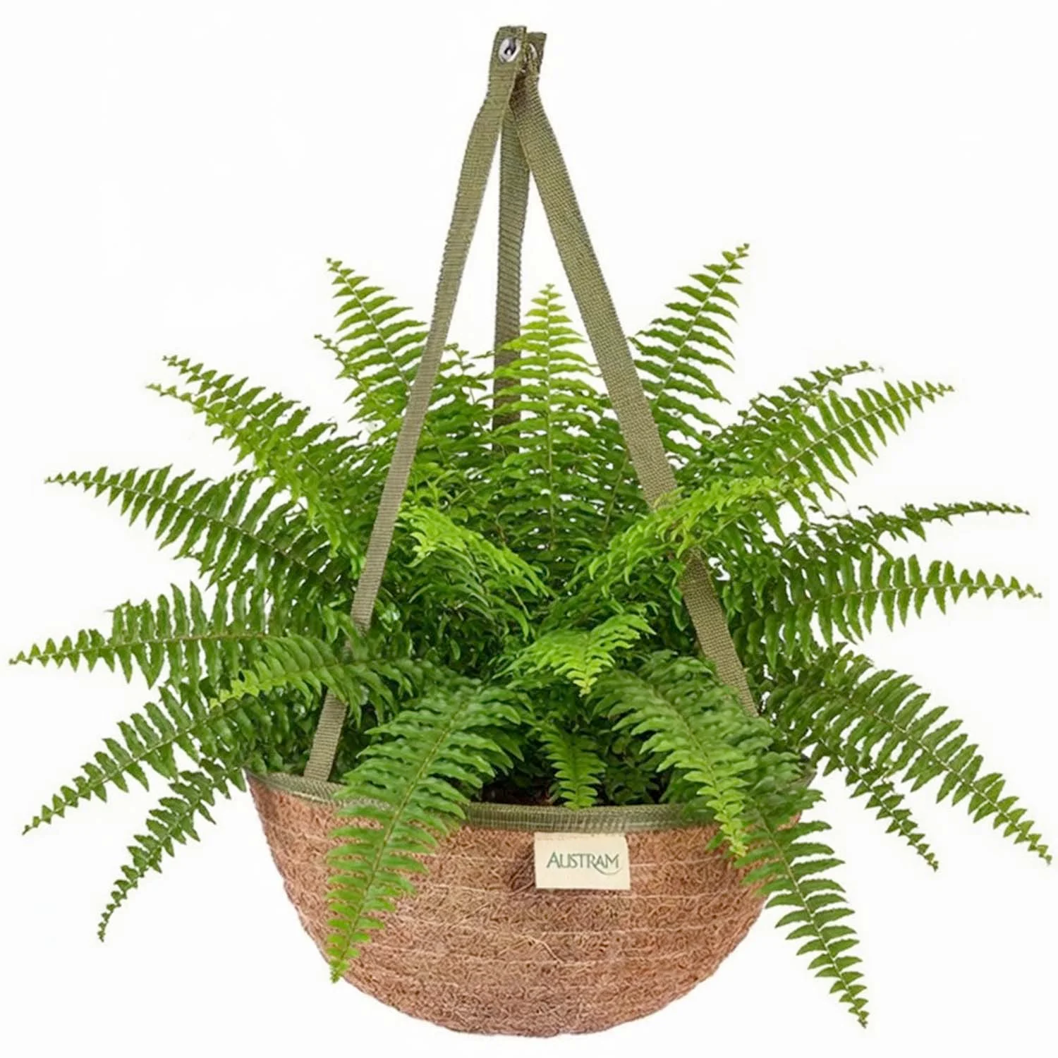 Woven CoCo Hanging Basket - 14" Wide - Image 2
