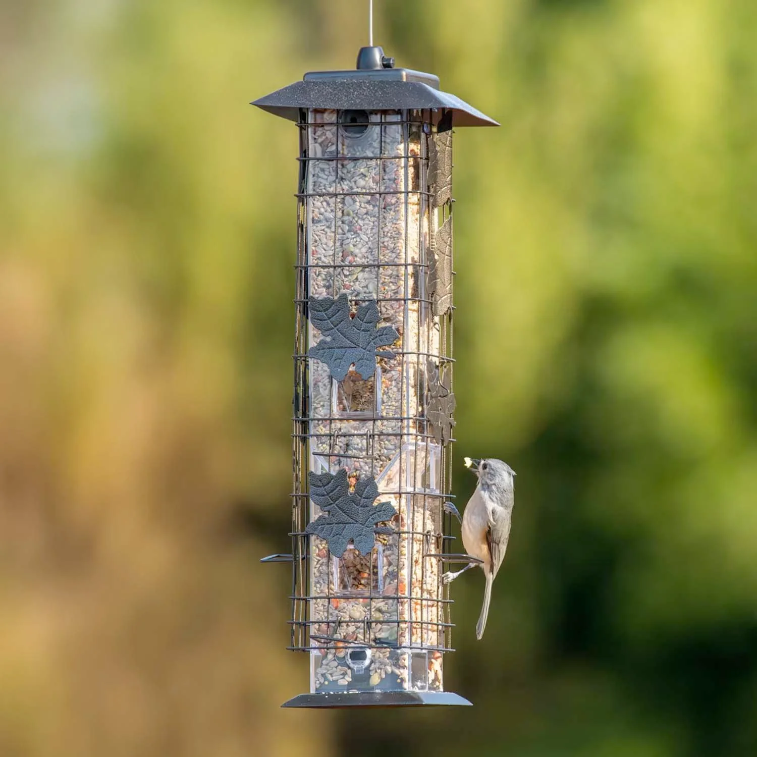 Squirrel Be Gone Bird Feeder - Image 2
