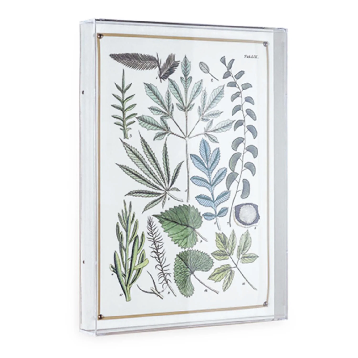 Ferns Panel #197 - 26"x20" - Image 2