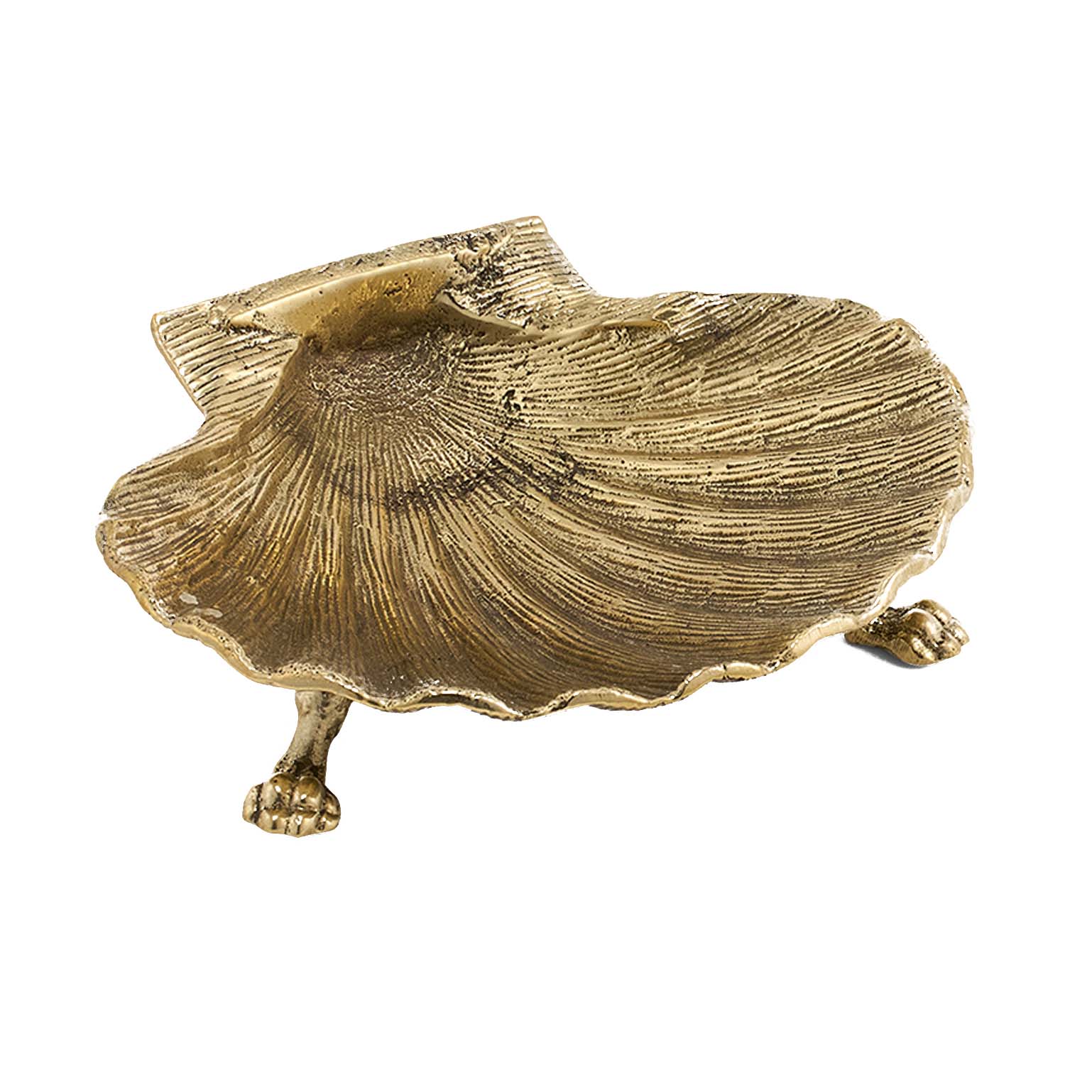 Brass Scarlett Shell Dish - 6" Wide