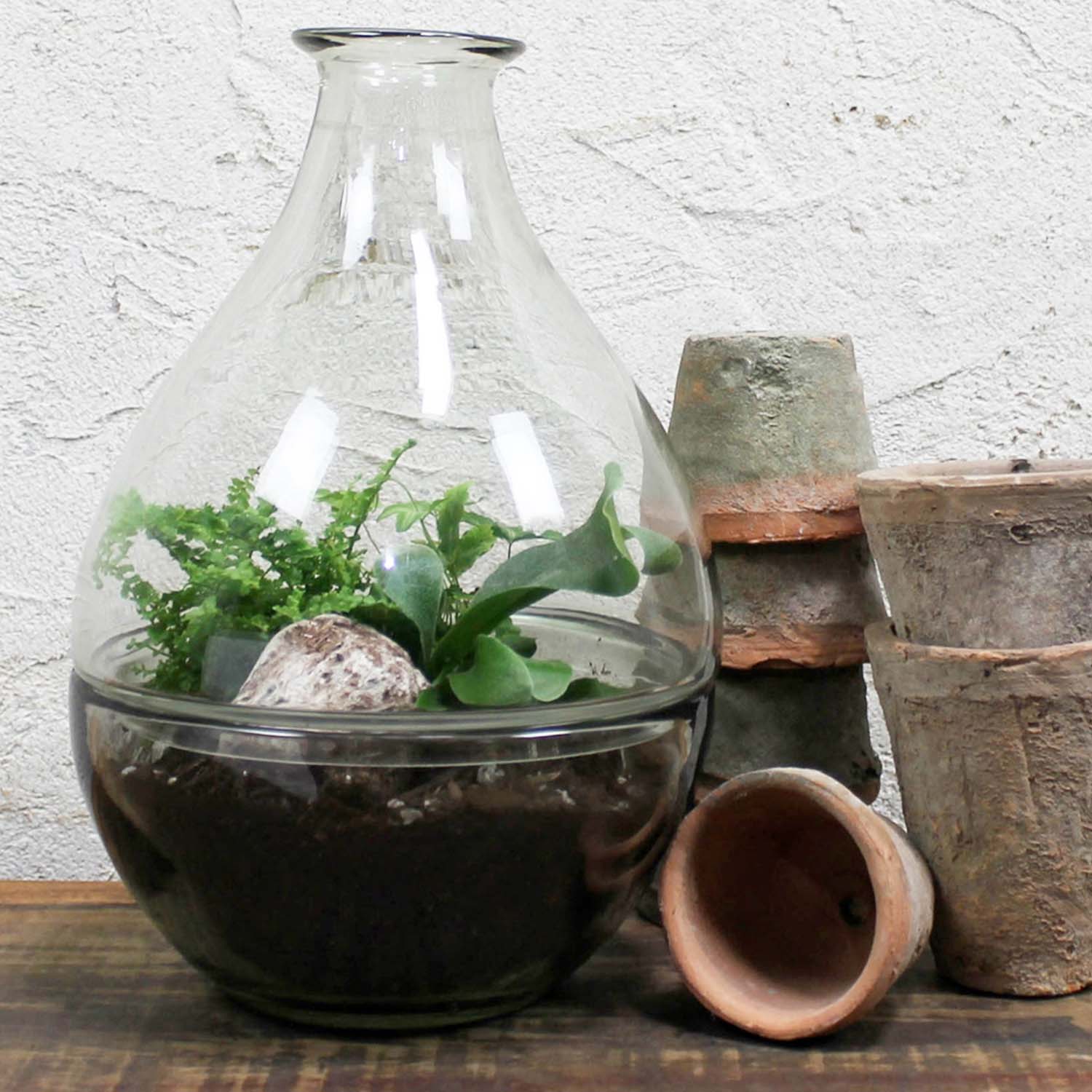 Glass Terrarium - Image 3