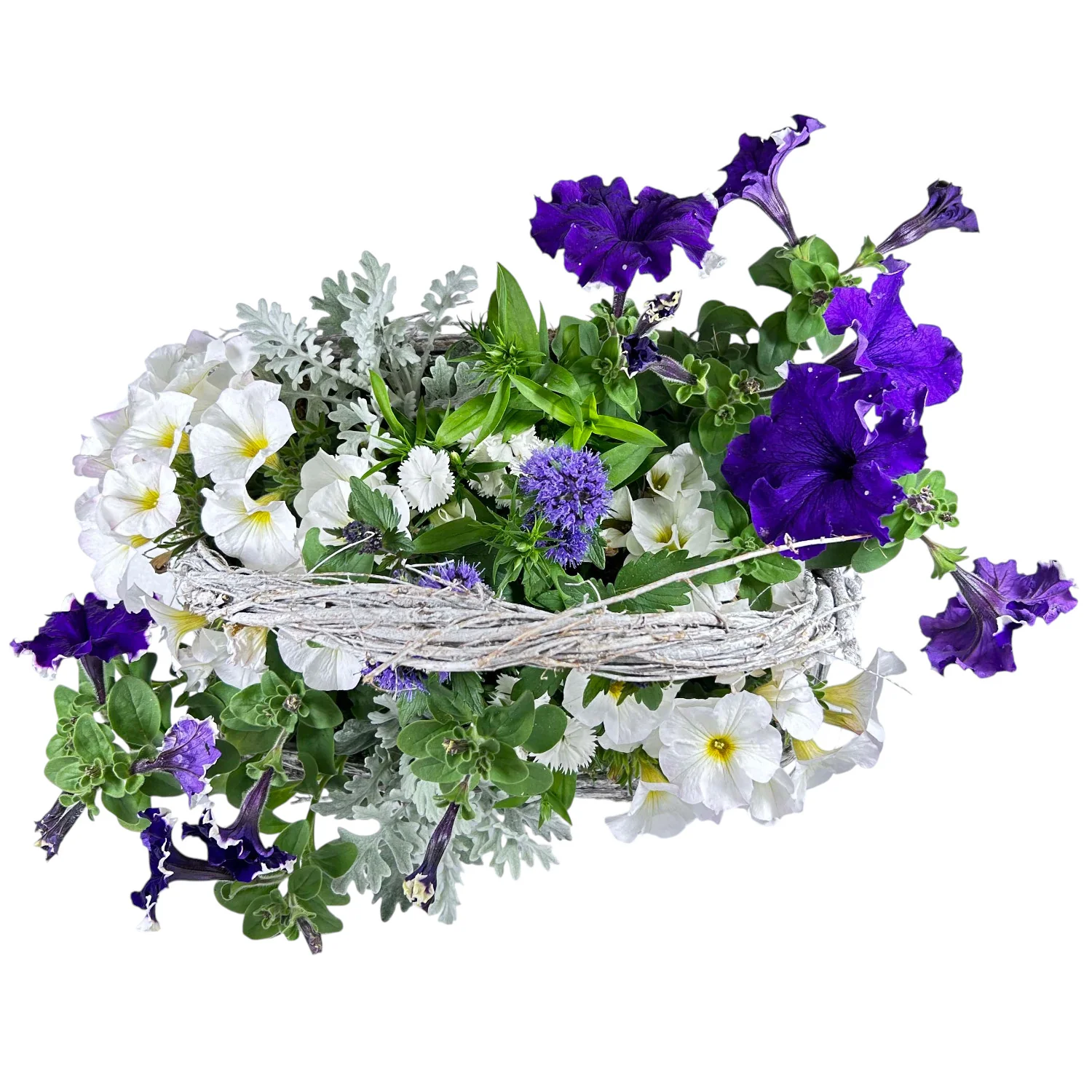 Sun Color in Large Grey Handle Basket - Image 3