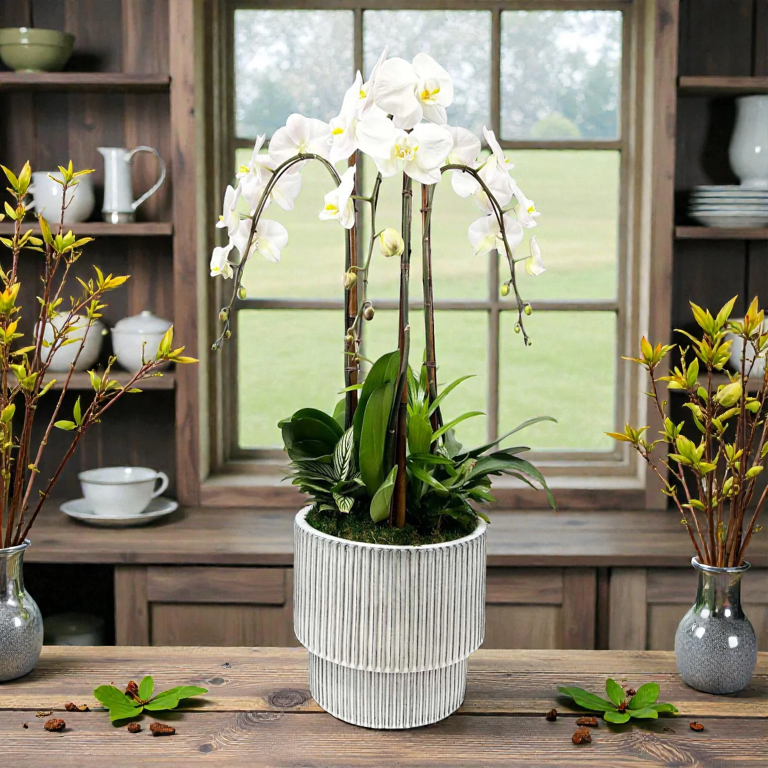 Orchids & Greens in Large White Ribbed Pot - Image 4