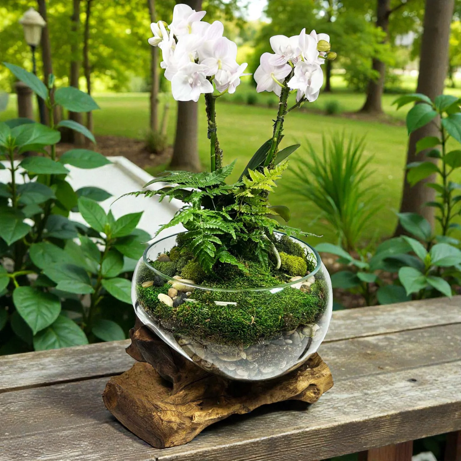 Orchid in Small Teak Root Vase - Image 2