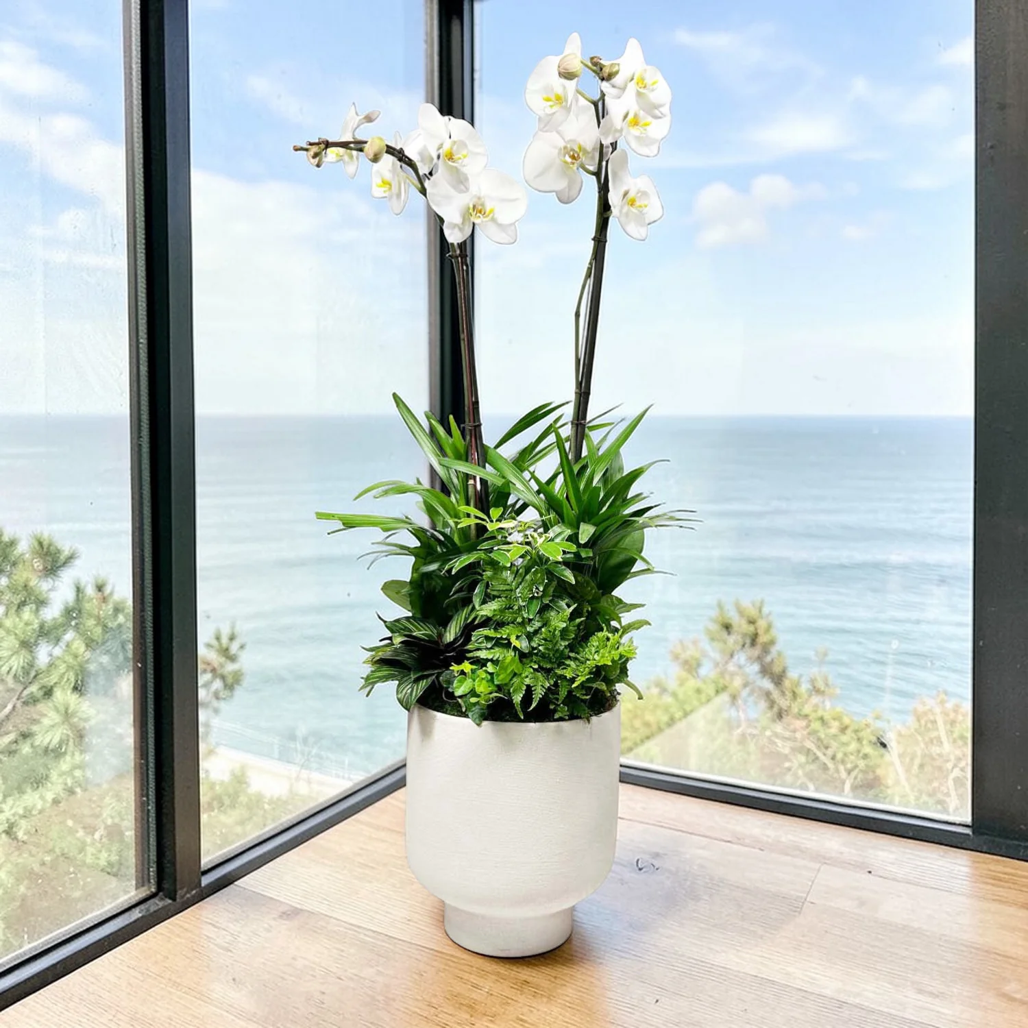Orchids in Large White Texture Pot - Image 2