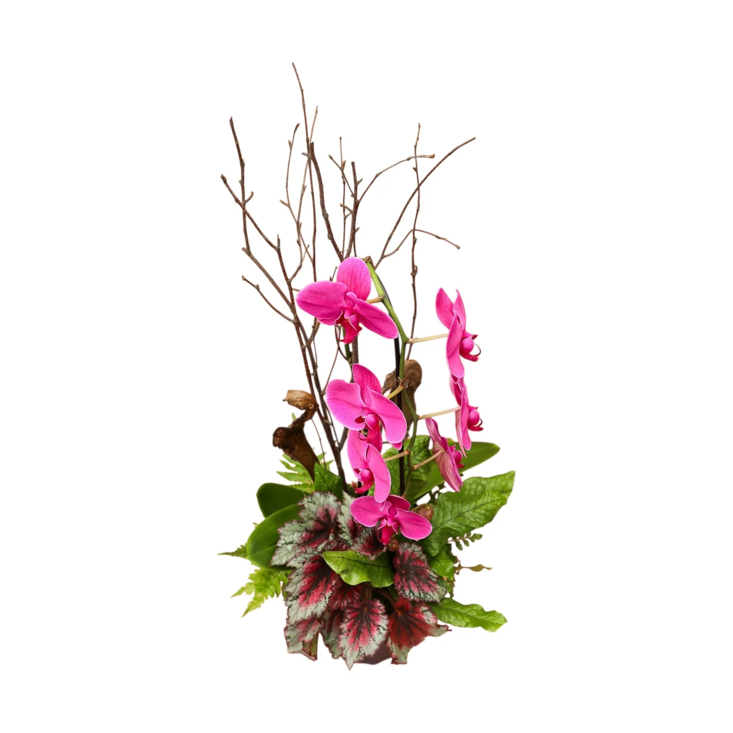 Pink Cascade Orchid in Large Blue Fluted Planter - Image 2
