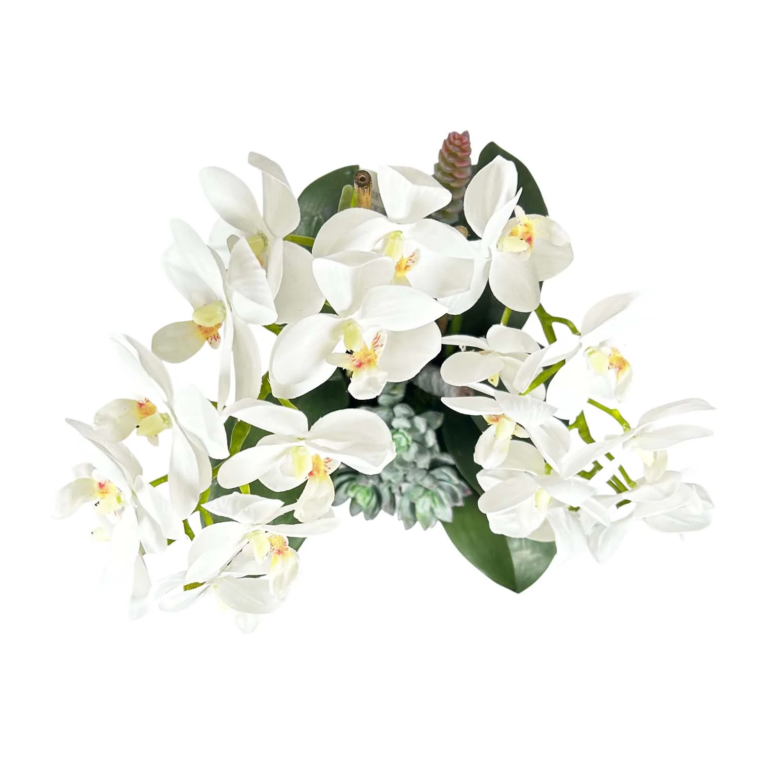 Faux Orchids & Succulents in White Pot - Image 3