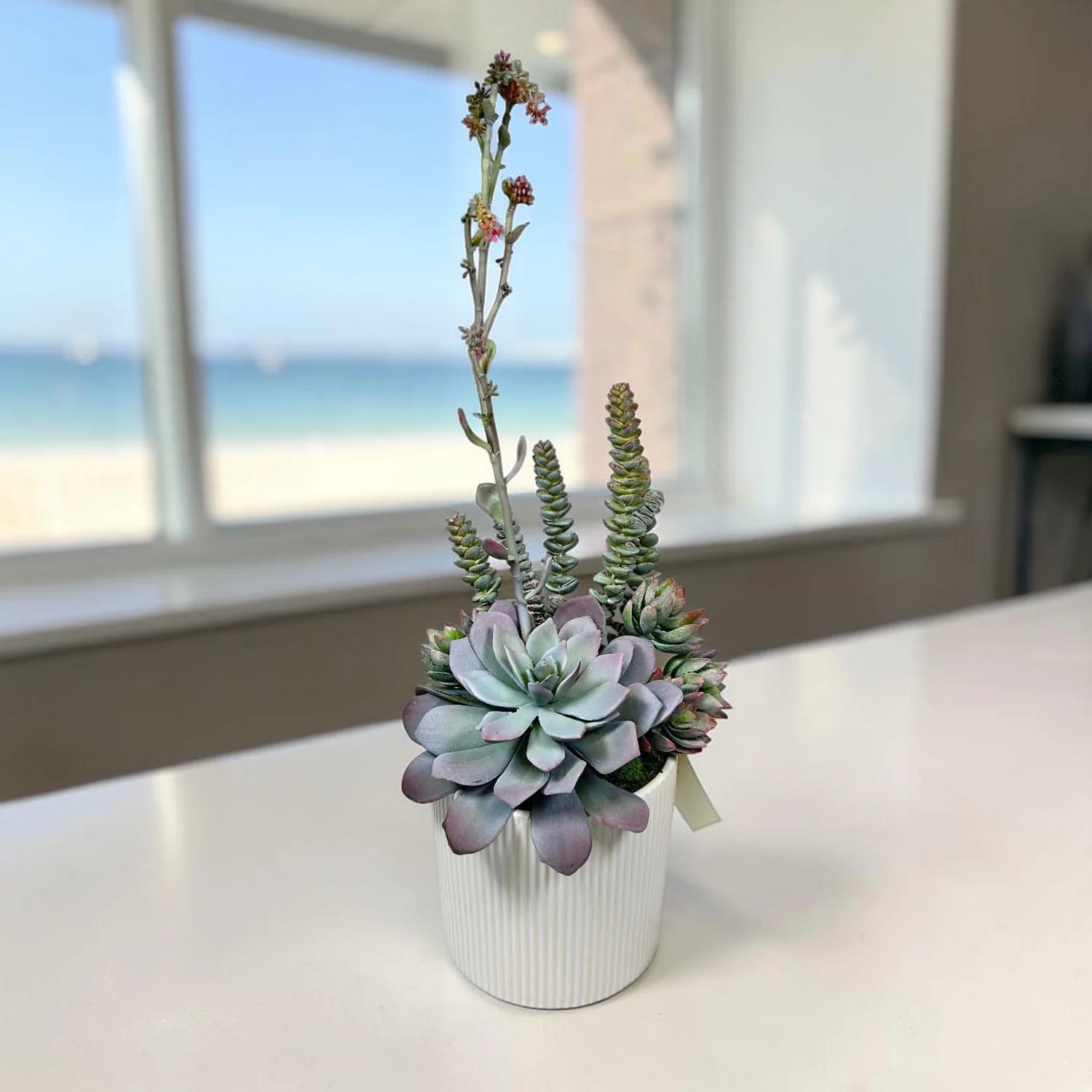Faux Succulent Blooms in White Pot - Image 2