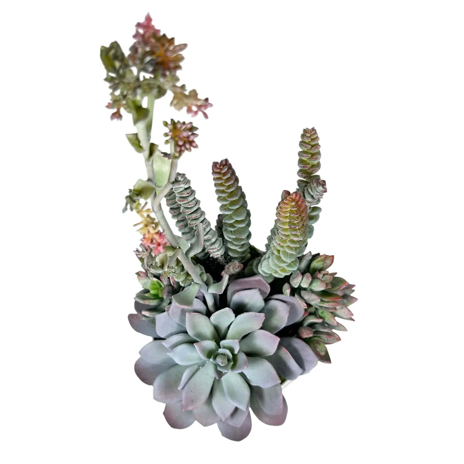Faux Succulent Blooms in White Pot - Image 3