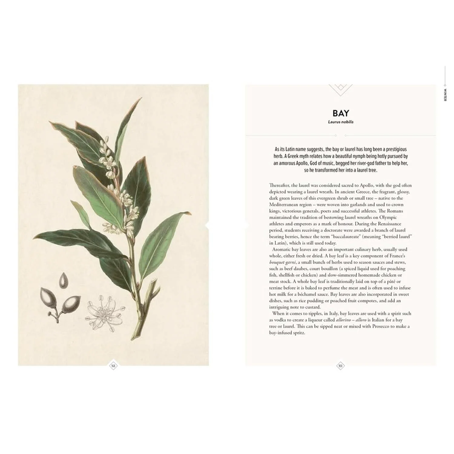 The Botanical Bar Book - Image 4