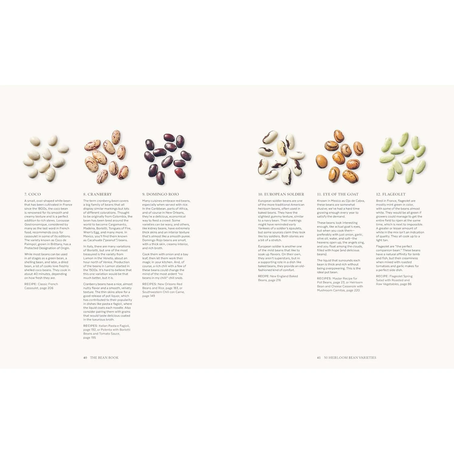 The Bean Book - Image 2