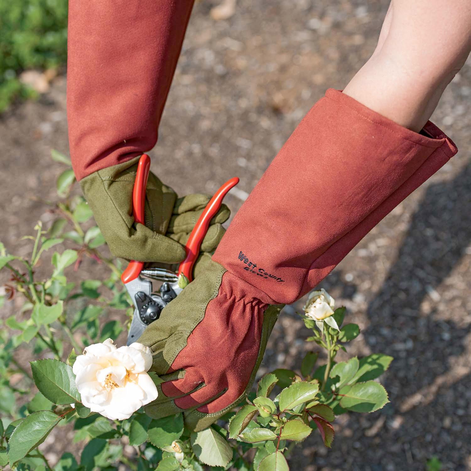 Comfort Pro Rose Gloves - Image 5